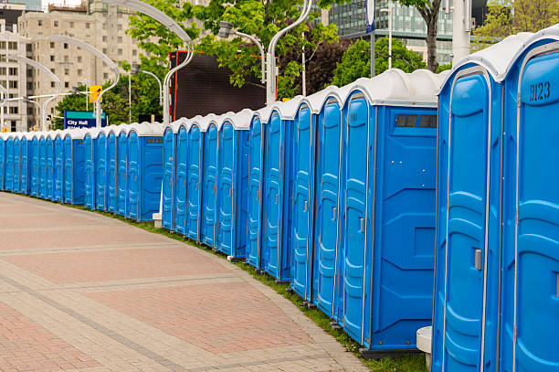 Types of Portable Toilets We Offer in Haleiwa, HI